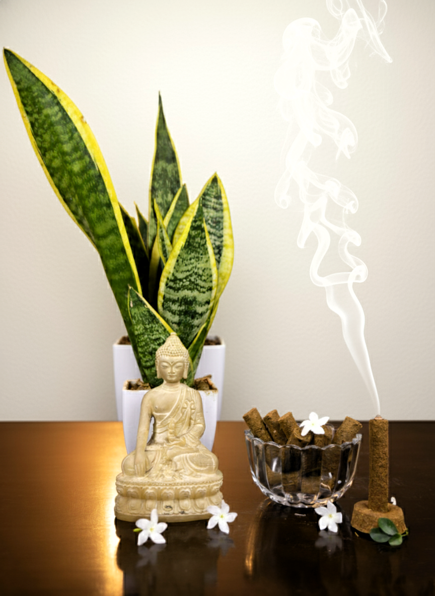 Saakshiyaah Panchagavya Dhoop Stick